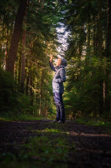A hiker raises his hand in greeting or to block the sunlight in the dense forest, Calw, Black