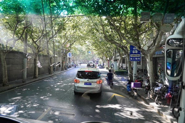 Traffic in Shanghai, Shanghai Shi, People's Republic of China, Vehicles driving on a tree-lined,