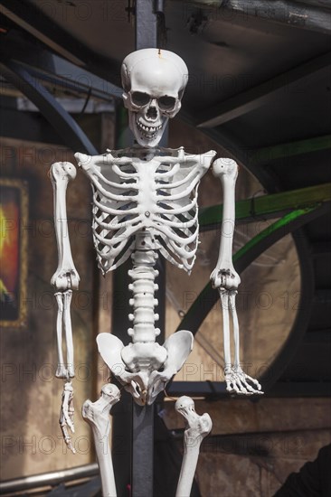 Skeleton with skull on a ghost train, decoration, figure at the Bremen Easter Fair, Buergerweide,