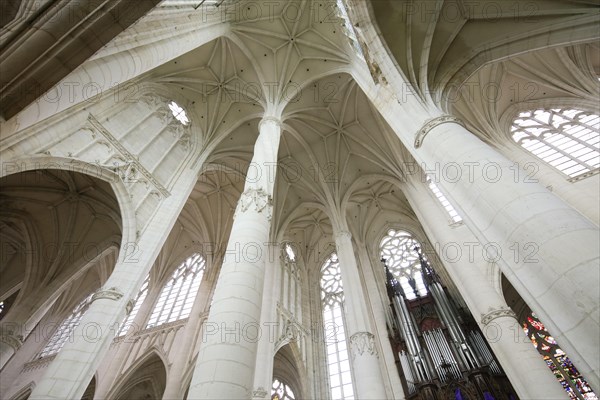 Basilica Basilique Saint-Nicolas-de-Port, Departement Meurthe-et-Moselle, Lorraine, Grand Est