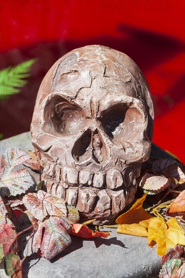 Skeleton with skull on a ghost train, decoration, figure at the Bremen Easter Fair, Buergerweide,