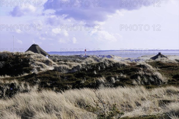 Houses, Hoernum, Sylt, North Frisian Island, view over dunes with grasses to a distant lighthouse