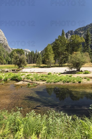 Merced River in the Yosemite Valley, Yosemite National Park, California, United States, USA,