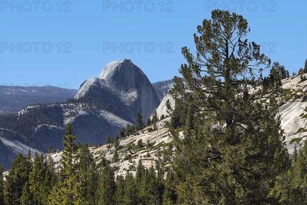 View from Olmsted Point to Half Dome, Yosemite National Park, California, United States, USA,