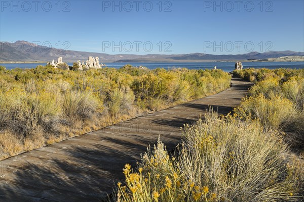 Mono Lake, Mono Lake Tufa State Reserve, California, USA, Mono Lake Tufa State Reserve, California,