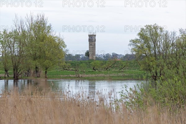 Former watchtower of the GDR, watchtower, trees, reeds, water, Elbe, Elbtalaue near Bleckede, Lower