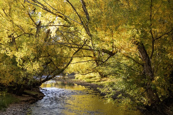 Wheat Ridge, Colorado, Clear Creek in autumn, flowing from the Rocky Mountains towards the South