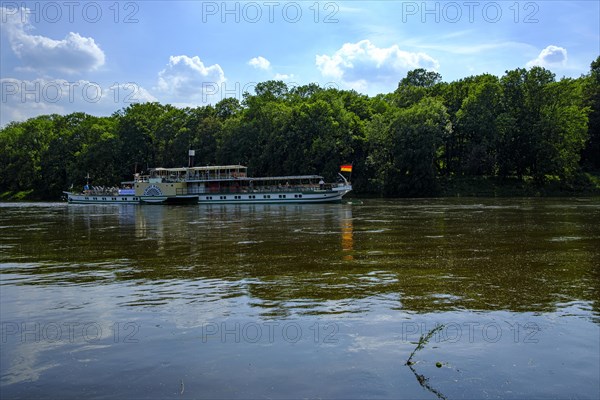 The historic paddle steamer KURORT RATHEN travelling backwards on the Elbe at the steamboat landing