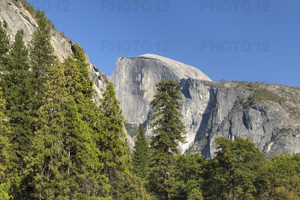 Half Dome, Yosemite National Park, California, United States, USA, Yosemite National Park,
