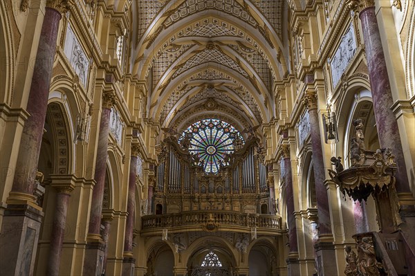 Organ loft and Gothic rose window, Ebrach Abbey, former Cistercian abbey, Ebrach, Lower Franconia,