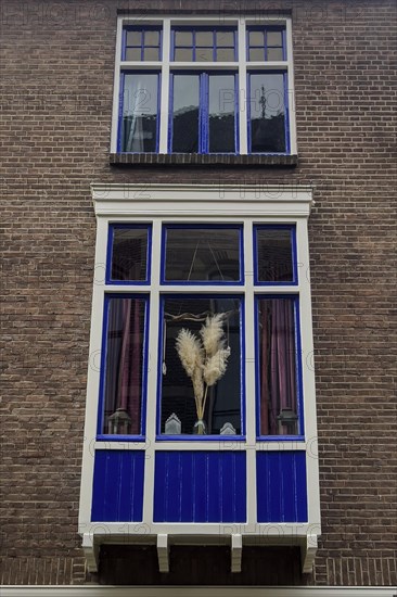Decorated window, flowers, sparse, design, dutch, decoration, decorated, house, facade,