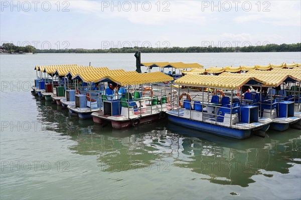 New Summer Palace, Beijing, China, Asia, Row of yellow and blue pedal boats moored on a tranquil