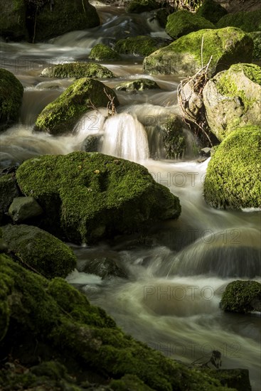 Mountain stream in the forest with mossy basalt rocks, blocks of basalt in the stream bed, Tertiary