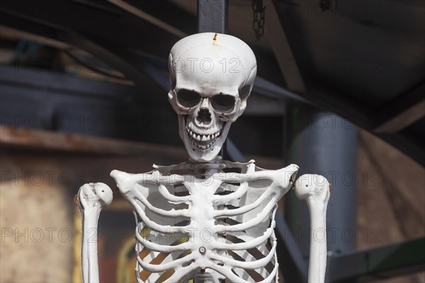 Skeleton with skull on a ghost train, decoration, figure at the Bremen Easter Fair, Buergerweide,