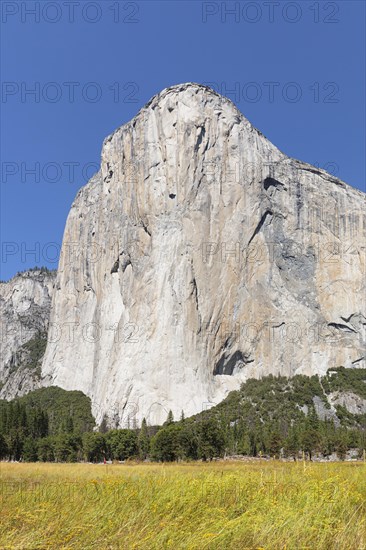 El Capitan, Vosemity Valley, Yosemite National Park, California, United States, USA, Yosemite