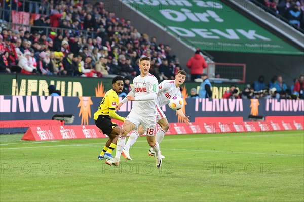 1st Bundesliga, 1.FC Koeln, BVB Borussia Dortmund on 20.01.2024 at the RheinEnergieStadion in