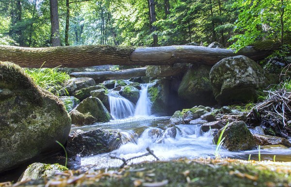 Ilse waterfall in the Ilse valley. The Heinrich Heine hiking trail leads through the Ilse valley to