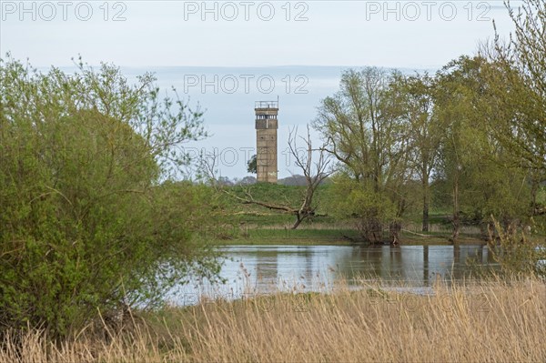 Former watchtower of the GDR, watchtower, trees, reeds, water, Elbe, Elbtalaue near Bleckede, Lower