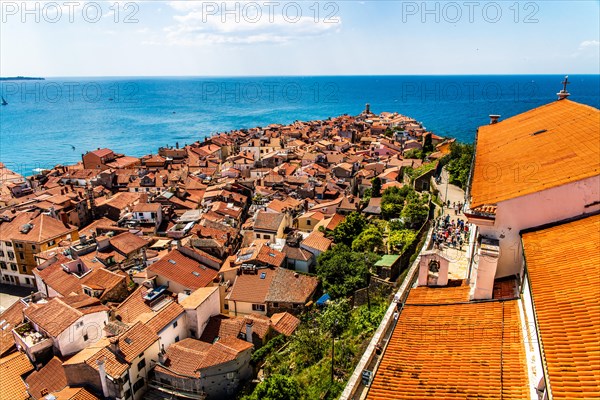 View from the bell tower over Piran, harbour town of Piran on the Adriatic coast with Venetian