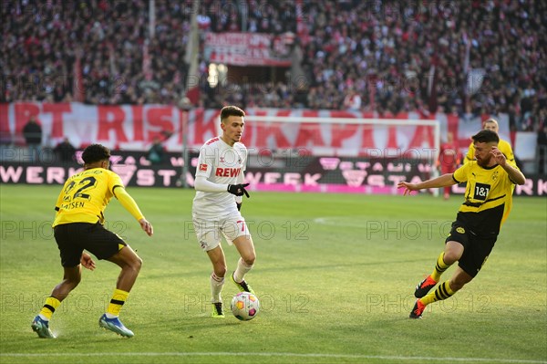 1st Bundesliga, 1.FC Koeln, BVB Borussia Dortmund on 20.01.2024 at the RheinEnergieStadion in