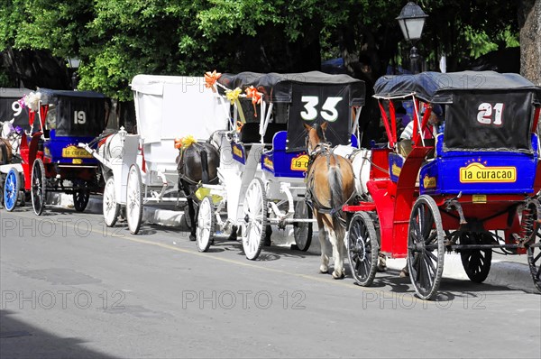 Granada, Nicaragua, row of horse-drawn carriages with licence plates in a sunny park setting,