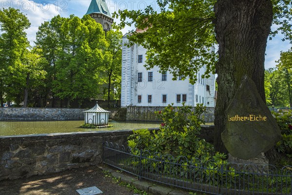 Luther oak in front of Schoenfeld Castle, also known as Germany's Magic Castle, a Renaissance
