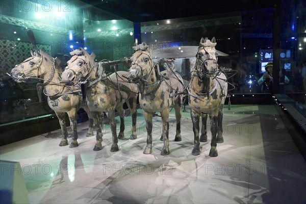 Terracotta horse and cart, Mausoleum of Qin Shihuangdi, Exhibition Hall, High Chariot, Xian,