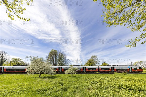 Siemens Desiro ML local train, Vorarlberg OeBB local transport fleet travelling in the border