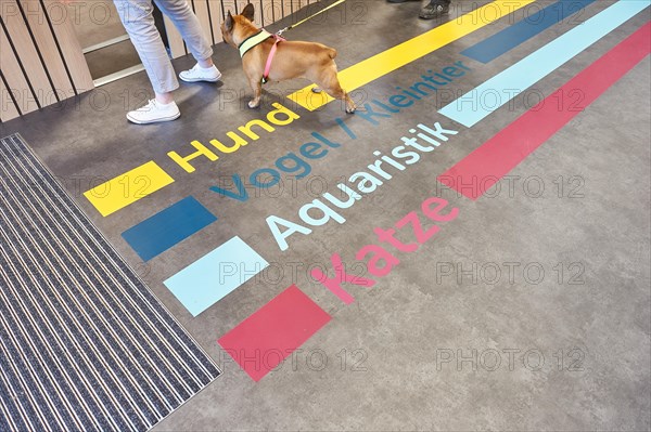 Floor signage for orientation in the pet supplies retail store REWE Kai Prochazka oHG I Papenreye 4