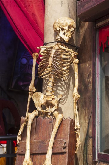 Skeleton with skull on a ghost train, decoration, figure at the Bremen Easter Fair, Buergerweide,