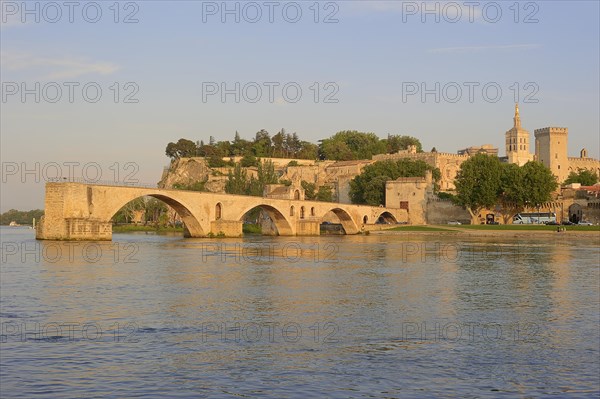 Pont Saint Benezet bridge, Palais des Papes and Notre-Dame des Doms cathedral, Avignon, Vaucluse,