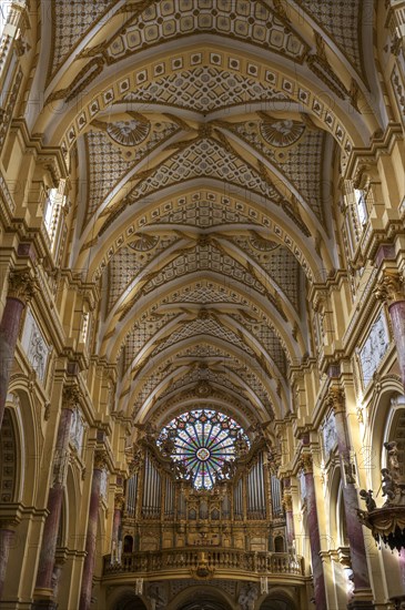 Nave with organ loft and Gothic rose window, Ebrach Abbey, former Cistercian abbey, Ebrach, Lower