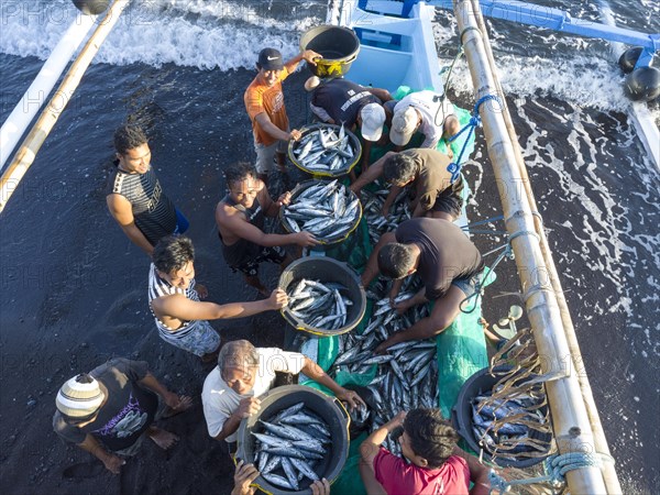 Fishermen unload their catch from their outrigger boat in the morning. Amed, Karangasem, Bali,