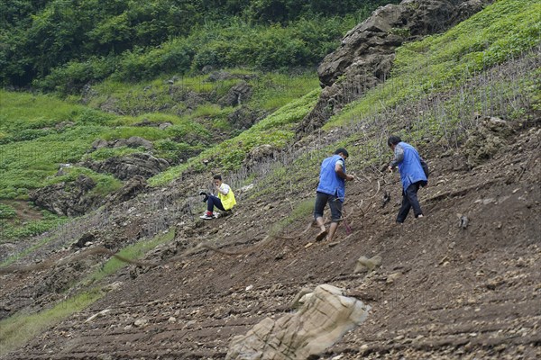 Yichang, China, Asia, Several workers carry out fortification work on an eroded slope, Hubei