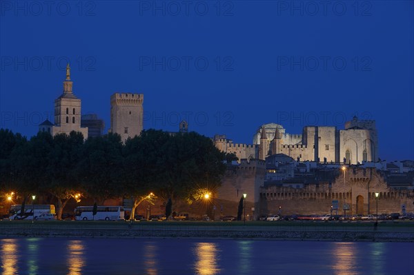 Papal Palace and Notre-Dame des Doms Cathedral at night, Avignon, Vaucluse, Provence-Alpes-Cote