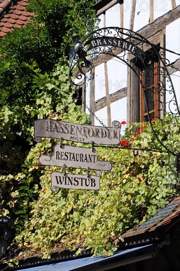 Kaysersberg, Alsace Wine Route, Alsace, Departement Haut-Rhin, France, Europe, Decorated sign of a