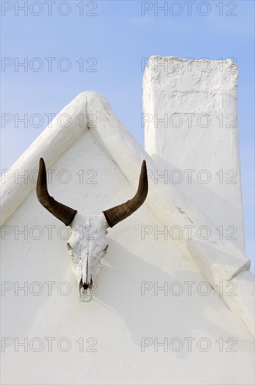Camargue bull skull on a house wall, Notre Dame de la Mer, Saintes-Maries-de-la-Mer, Camargue,