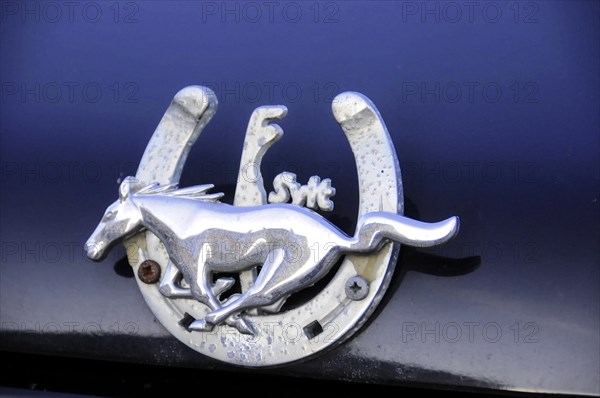 Westerland, Sylt, Schleswig-Holstein, Shiny radiator mascot with horse and horseshoe on a car,