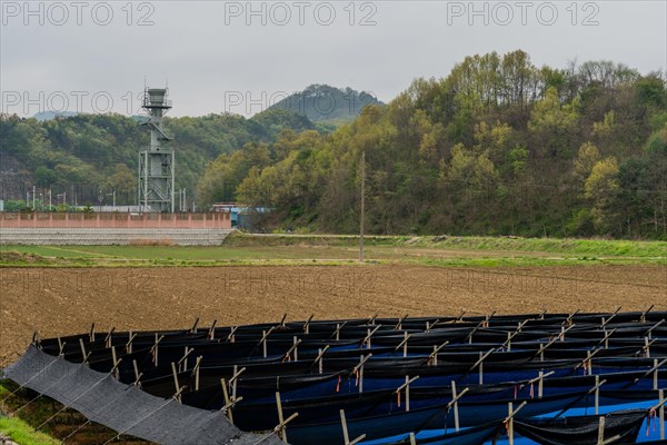 Natural gas vent stack tower at supply station in rural community of South Korea