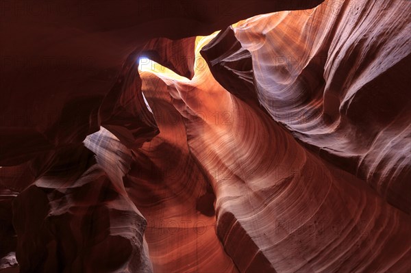 Light and shadow play on the curved, water-sculpted Convolvulus of a canyon, Upper Antelope Canyon,