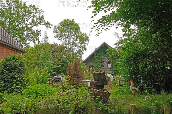 Spreewald, biosphere reserve, Brandenburg, Germany, Europe