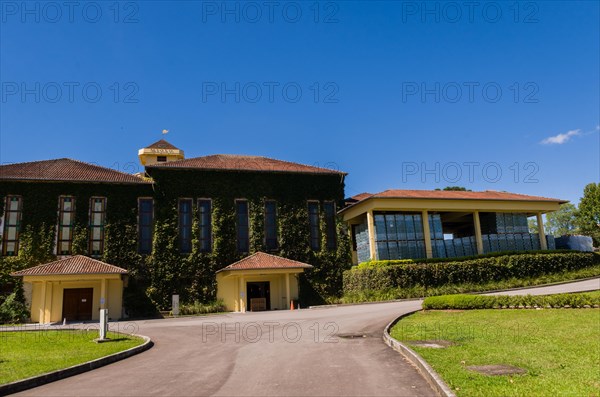 Bento Golcalves, Brasil, April 07, 2017: Luxury Winery, Vineyard of grapes in the Vale dos Vinhedos
