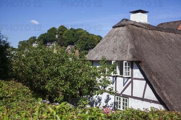 Old thatched half-timbered house in the Treppenviertel, residential building, Blankenese district,