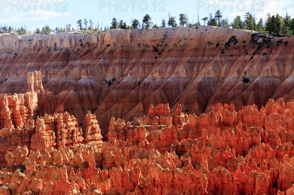 Sweeping views of deep canyons and vermilion rock needles, Bryce Canyon National Park, North