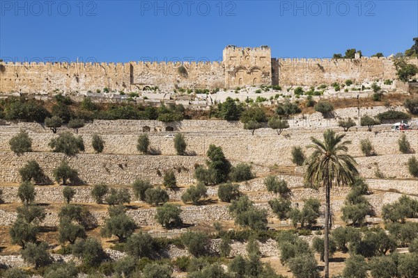 Cemetery with olive trees and fortified stone wall with Golden Gate, Old City of Jerusalem, Israel,
