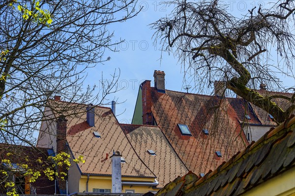Pointed gable roofs and chimneys, Kaufbeuern, Allgaeu, Swabia, Bavaria, Germany, Europe
