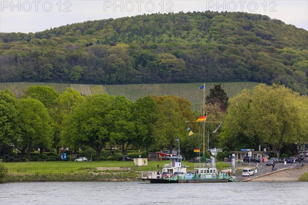 Rhine ferry Mondorf between Bonn and Koenigswinter, North Rhine-Westphalia, Germany, Europe