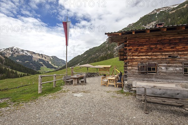 Naturalpe Gemstel-Schoenesboden-Alpe, behind Walmendinger Horn, Gemsteltal, Mittelberg,