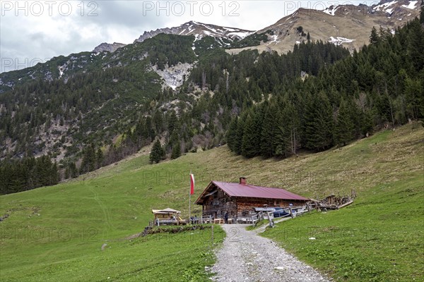 Naturalpe Gemstel-Schoenesboden-Alpe, Gemsteltal, Mittelberg, Kleinwalsertal, Vorarlberg, Allgaeu
