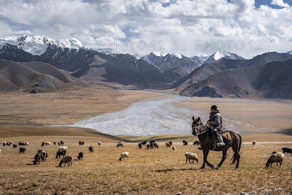Nomadic life on a plateau, shepherd on horse, flock of sheep, dramatic high mountains, Tian Shan